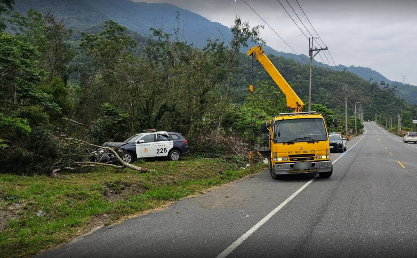 路邊突有野狗衝出! 警車閃避不及 失控側翻